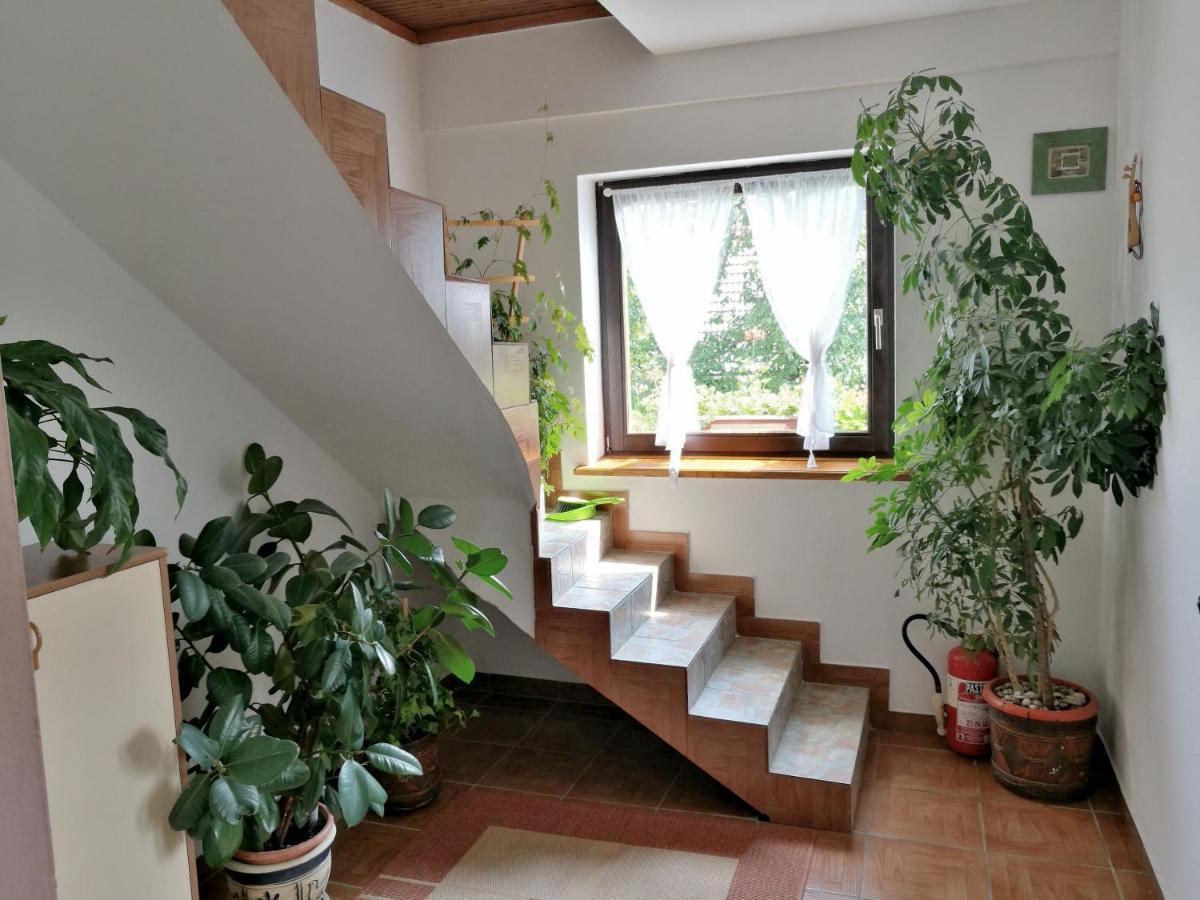 House Marica Villa Poljanak Exteriör bild